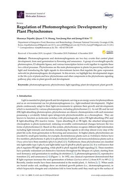 Regulation of Photomorphogenic Development by Plant Phytochromes