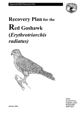 Red Goshawk (Erythrotriorchis Radiatus)