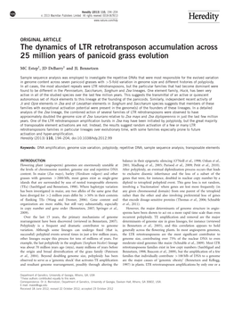 The Dynamics of LTR Retrotransposon Accumulation Across 25 Million Years of Panicoid Grass Evolution