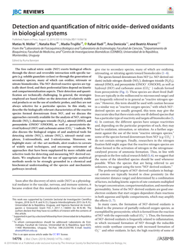 Detection and Quantification of Nitric Oxide