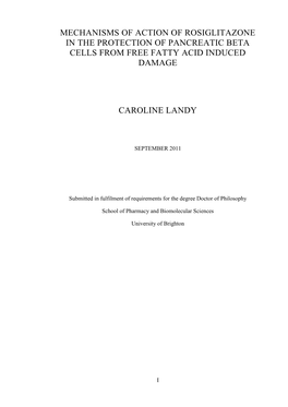 Mechanisms of Action of Rosiglitazone in the Protection of Pancreatic Beta Cells from Free Fatty Acid Induced Damage