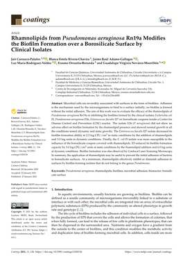 Rhamnolipids from Pseudomonas Aeruginosa Rn19a Modifies The