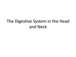 The Digestive System in the Head and Neck the Mouth