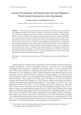 And Human-Type Telomere Repeats in Plants Using Fluorescence in Situ Hybridisation