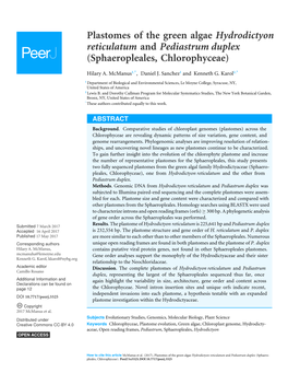 Plastomes of the Green Algae Hydrodictyon Reticulatum and Pediastrum Duplex (Sphaeropleales, Chlorophyceae)