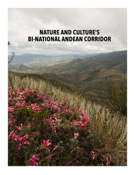 Nature and Culture's Bi-National Andean Corridor