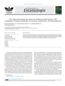 First Report and Damage Description of Calodesma Collaris (Drury, 1782) (Lepidoptera: Erebidae) Caterpillars on Aechmea Winkleri Reitz, 1975 (Bromeliaceae)