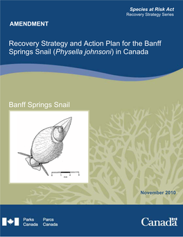 Recovery Strategy and Action Plan for the Banff Springs Snail (Physella Johnsoni) in Canada