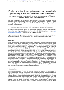 Generating Subunit of Ribonucleotide Reductase