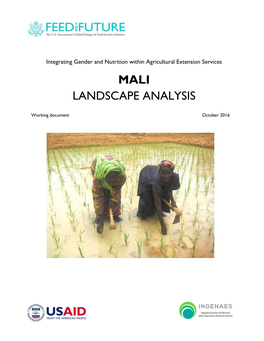 Mali Landscape Analysis