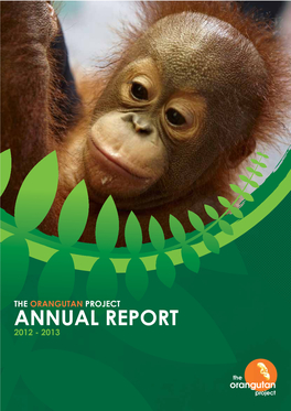 View 2012-13 Annual Report