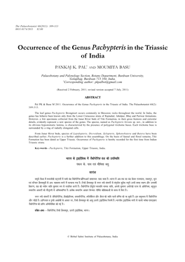 Occurrence of the Genus Pachypteris in the Triassic of India