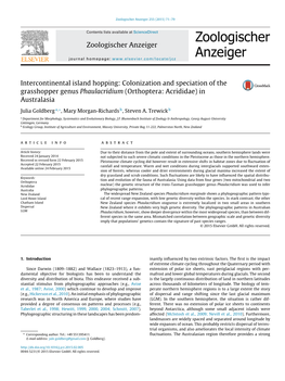 Intercontinental Island Hopping: Colonization and Speciation of the Grasshopper Genus Phaulacridium (Orthoptera: Acrididae) in A