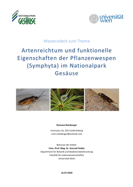 Artenreichtum Und Funktionelle Eigenschaften Der Pflanzenwespen (Symphyta) Im Nationalpark Gesäuse