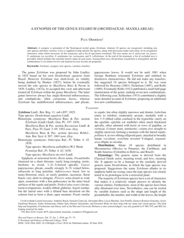 A Synopsis of the Genus Xylobium (Orchidaceae: Maxillareae) PAUL ORMEROD1