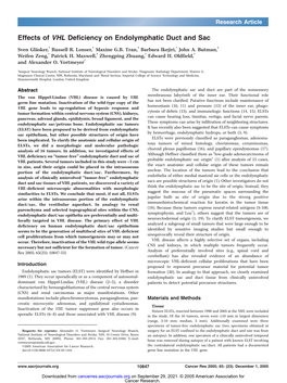 Effects of VHL Deficiency on Endolymphatic Duct and Sac