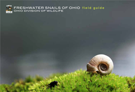 Freshwater Snails of Ohio Field Guide [Pdf]