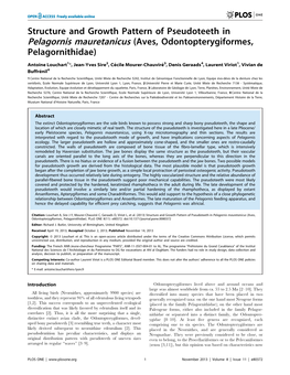 Structure and Growth Pattern of Pseudoteeth in Pelagornis Mauretanicus (Aves, Odontopterygiformes, Pelagornithidae)