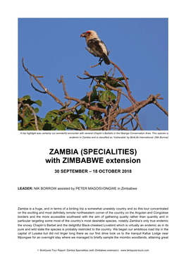 Zambia and Is Classified As ‘Vulnerable’ by Birdlife International
