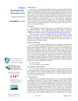 Brucella Ovis, a Bacterium That Circulates in Sheep, Is an Economically Important Epididymitis: Cause of Epididymitis and Reduced Fertility in Rams