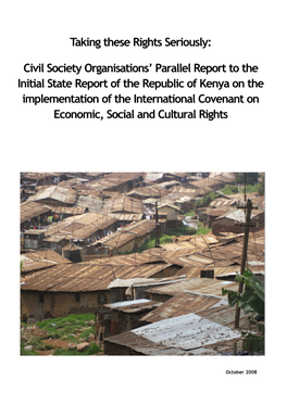 Taking These Rights Seriously: Civil Society Organisations' Parallel