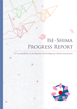 Ise-Shima Progress Report