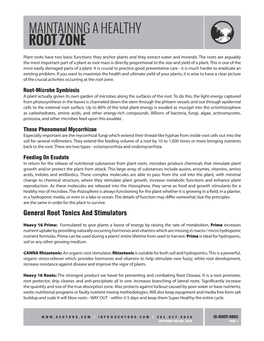 Maintaining a Healthy Root Zone