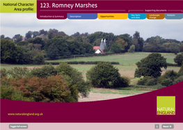 123. Romney Marshes Area Profile: Supporting Documents