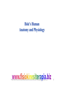 Hole's Human Anatomy and Physiology