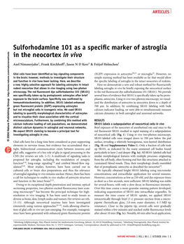 Sulforhodamine 101 As a Specific Marker of Astroglia in the Neocortex in Vivo