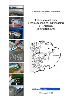 FMHO 2002-04: Fiskeundersøkelser I Regulerte Innsjøer Og Vassdrag I
