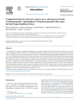 Comparison Between Apicystis Cryptica Sp. N. and Apicystis Bombi