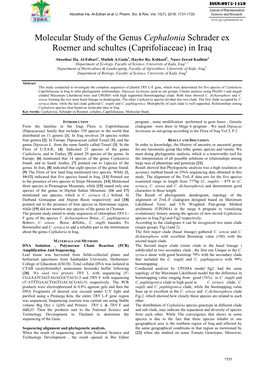 Molecular Study of the Genus Cephalonia Schrader Ex Roemer and Schultes (Caprifoliaceae) in Iraq