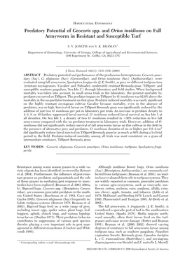 Predatory Potential of Geocoris Spp. and Orius Insidiosus on Fall Armyworm in Resistant and Susceptible Turf