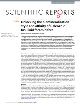 Unlocking the Biomineralization Style and Affinity of Paleozoic Fusulinid Foraminifera