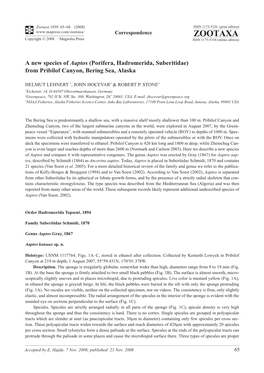 Zootaxa, a New Species of Aaptos (Porifera, Hadromerida, Suberitidae)