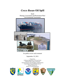 Cosco Busan Oil Spill