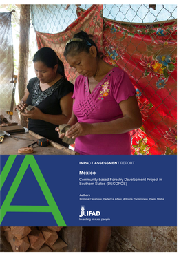 IFAD Impact Assessment