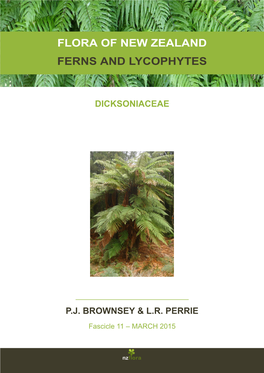 Flora of New Zealand Ferns and Lycophytes