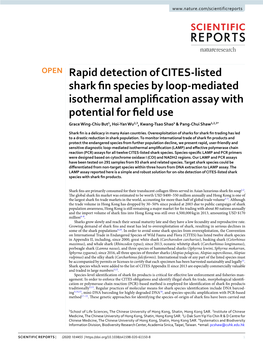 Rapid Detection of CITES-Listed Shark Fin Species by Loop-Mediated