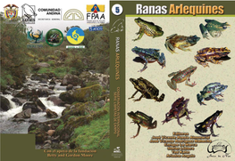 Ranas Arlequines © Copyright 2005, Conservación Internacional Todos Los Derechos Están Reservados, Puede Ser Reproducida Citando La Fuente