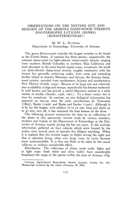 Observations on the Nesting Site and Biology of the Arizona Damp-Wo'od Termite Zootermopsis Laticeps (Banks) (Hodotermitidae) by W