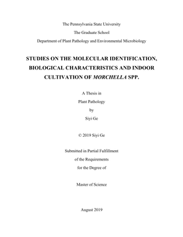 Studies on the Molecular Identification, Biological Characteristics and Indoor Cultivation of Morchella Spp