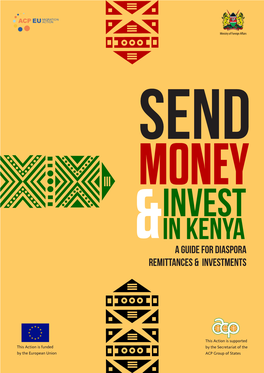 SEND MONEY Invest in Kenya a Guide for Diaspora Remittances & Investments