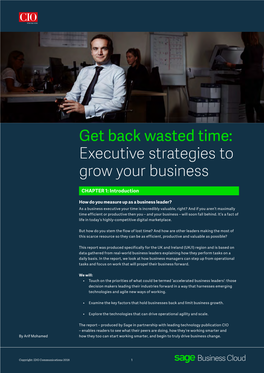 Executive Strategies to Grow Your Business