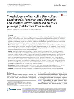 Francolinus, Dendroperdix, Peliperdix and Scleroptila) and Spurfowls (Pternistis) Based on Chick Plumage (Galliformes: Phasianidae) Johann H