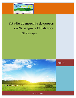 Estudio De Mercado De Quesos En Nicaragua Y El Salvador CEI Nicaragua