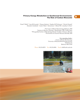 Primary Energy Metabolism in Geothermal Environments:The Role