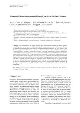 Diversity of Batrachospermales (Rhodophyta) in the Iberian Peninsula