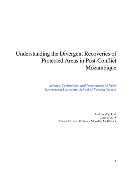 Understanding the Divergent Recoveries of Protected Areas in Post-Conflict Mozambique